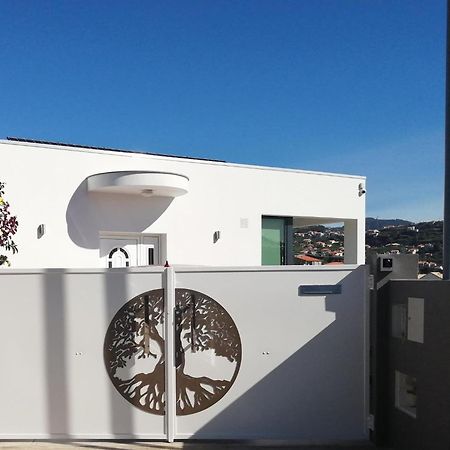 The Tree Of Life House Hotel Ponta do Sol  Buitenkant foto